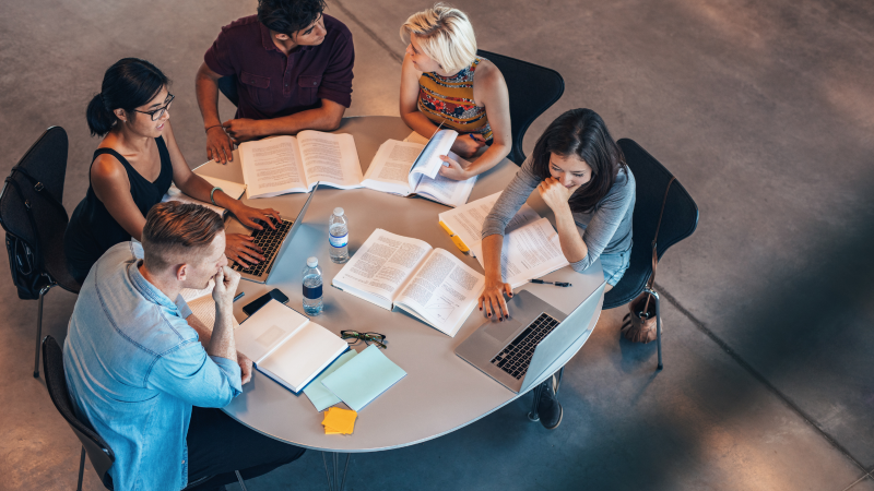 Pharmacy Undergraduate Training Programme