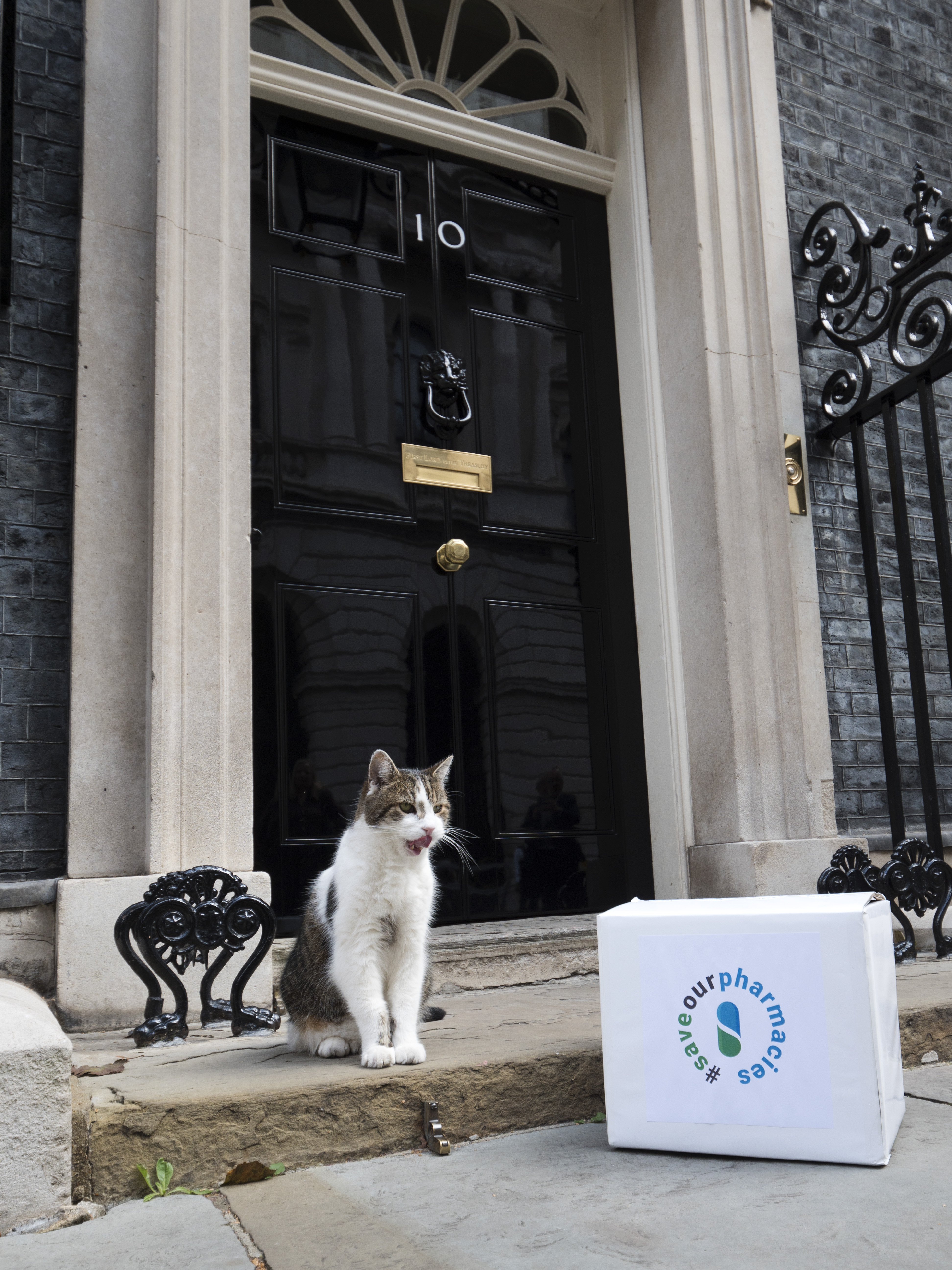 Larry the cat outside Downing Street