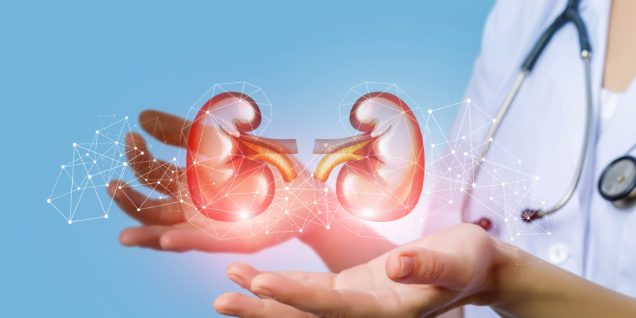 kidney care banner