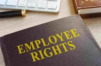 Preparing for October’s Employment Law Reforms: Your Employer Action Plan
