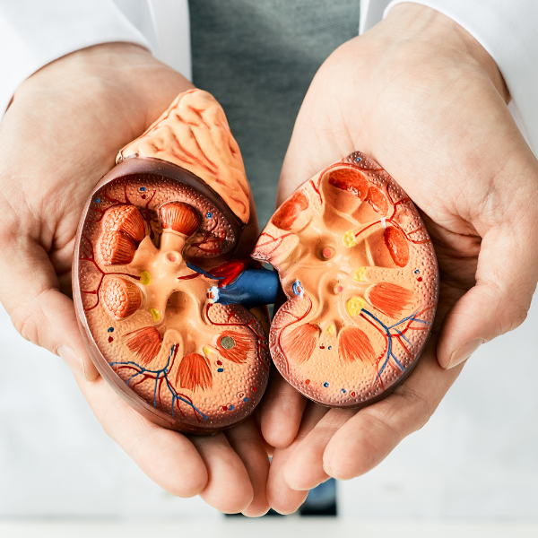 kidney care